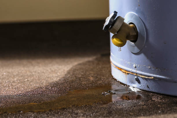 Best Ceiling water damage repair  in Vassar College, NY