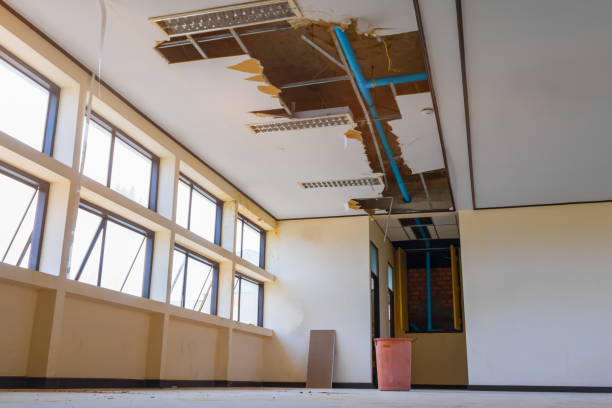 Best Professional water damage repair  in Vassar College, NY