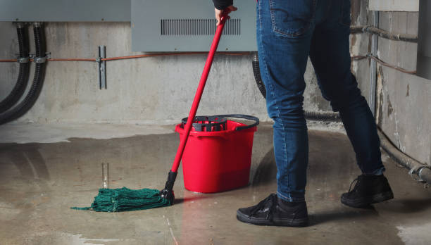 Best Flood damage cleanup  in Vassar College, NY