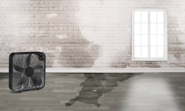 Best 24-hour water damage restoration  in Vassar College, NY