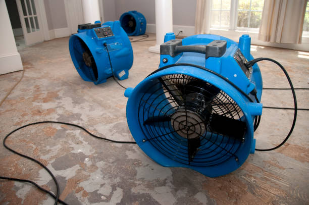 Best Water damage restoration cost  in Vassar College, NY